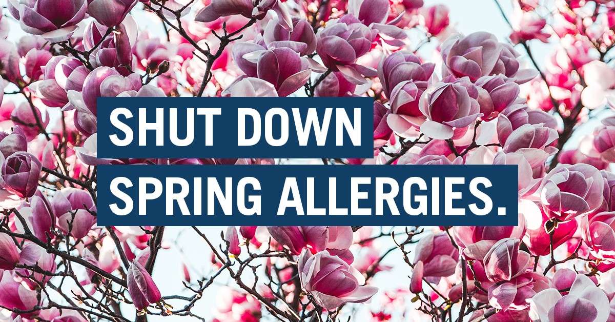 Shut Down Spring Allergies